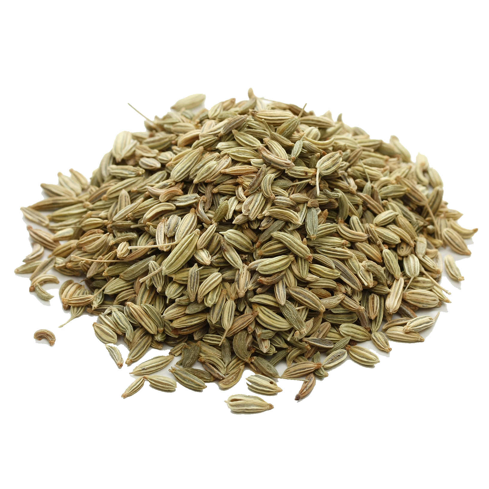 Fennel Seeds 110g Pot